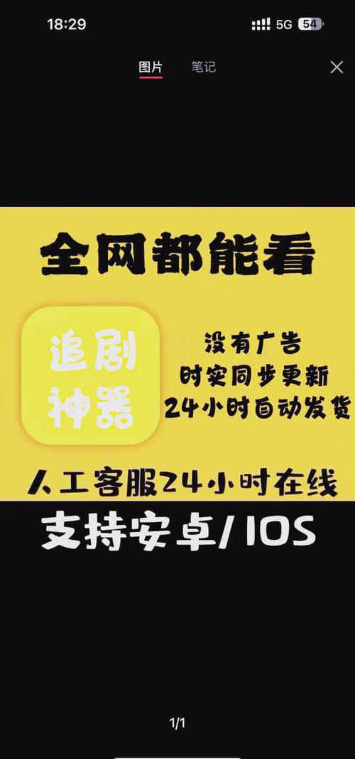 综合激情久久粉嫩嫩的的相关介绍