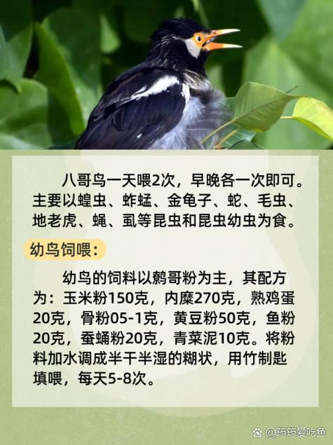 激情av一级片的相关介绍