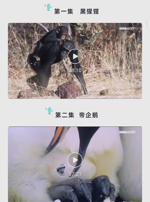 保利电影院今日影讯的相关介绍