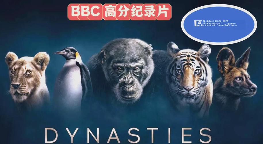 精品久久久黄片的相关介绍