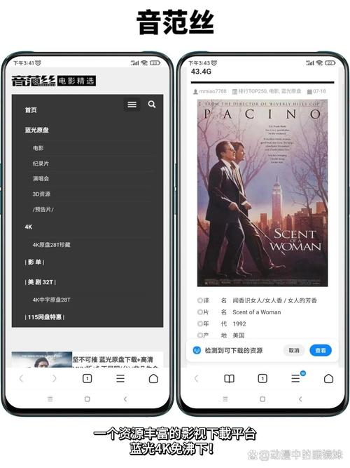 东京精油按摩在线观看的相关介绍