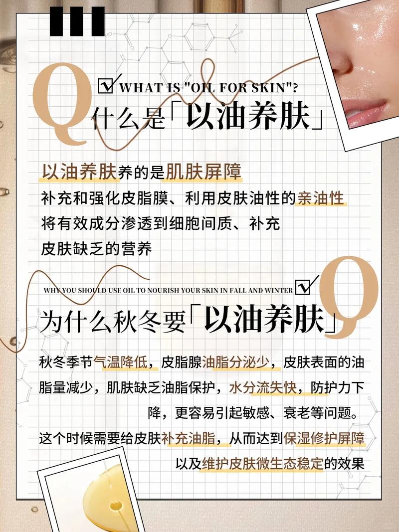 成年人午夜毛片的相关介绍