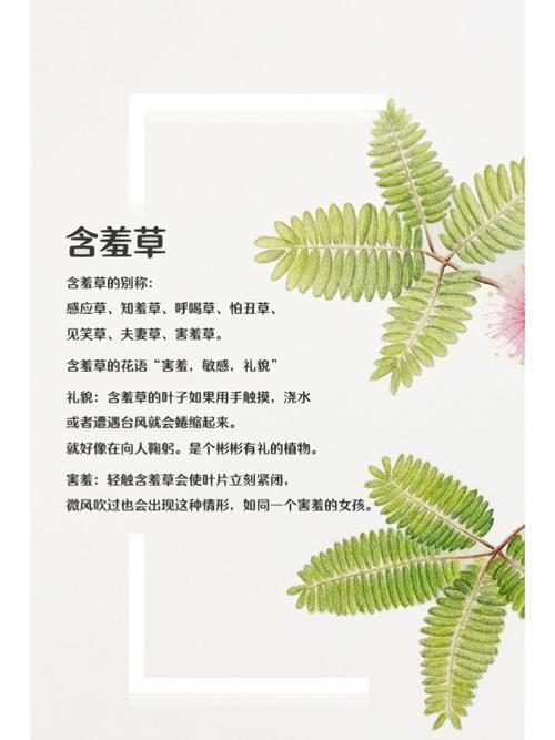 国模吧大尺度图片的相关介绍