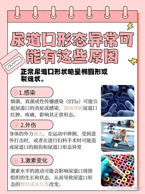 美少妇的羞辱av电影一区二区的相关介绍