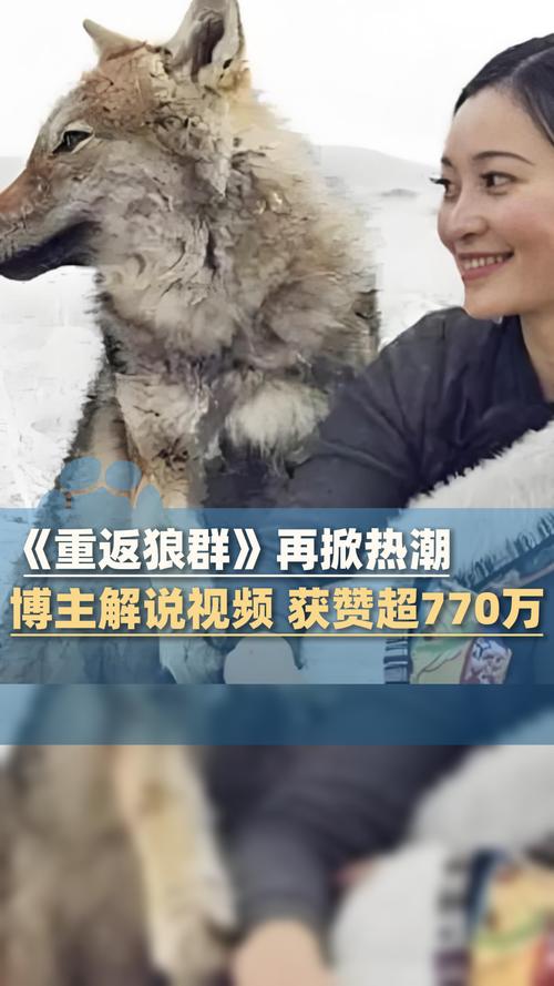 搭讪人妻电影的相关介绍