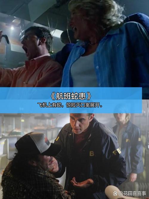 电影影院的相关介绍