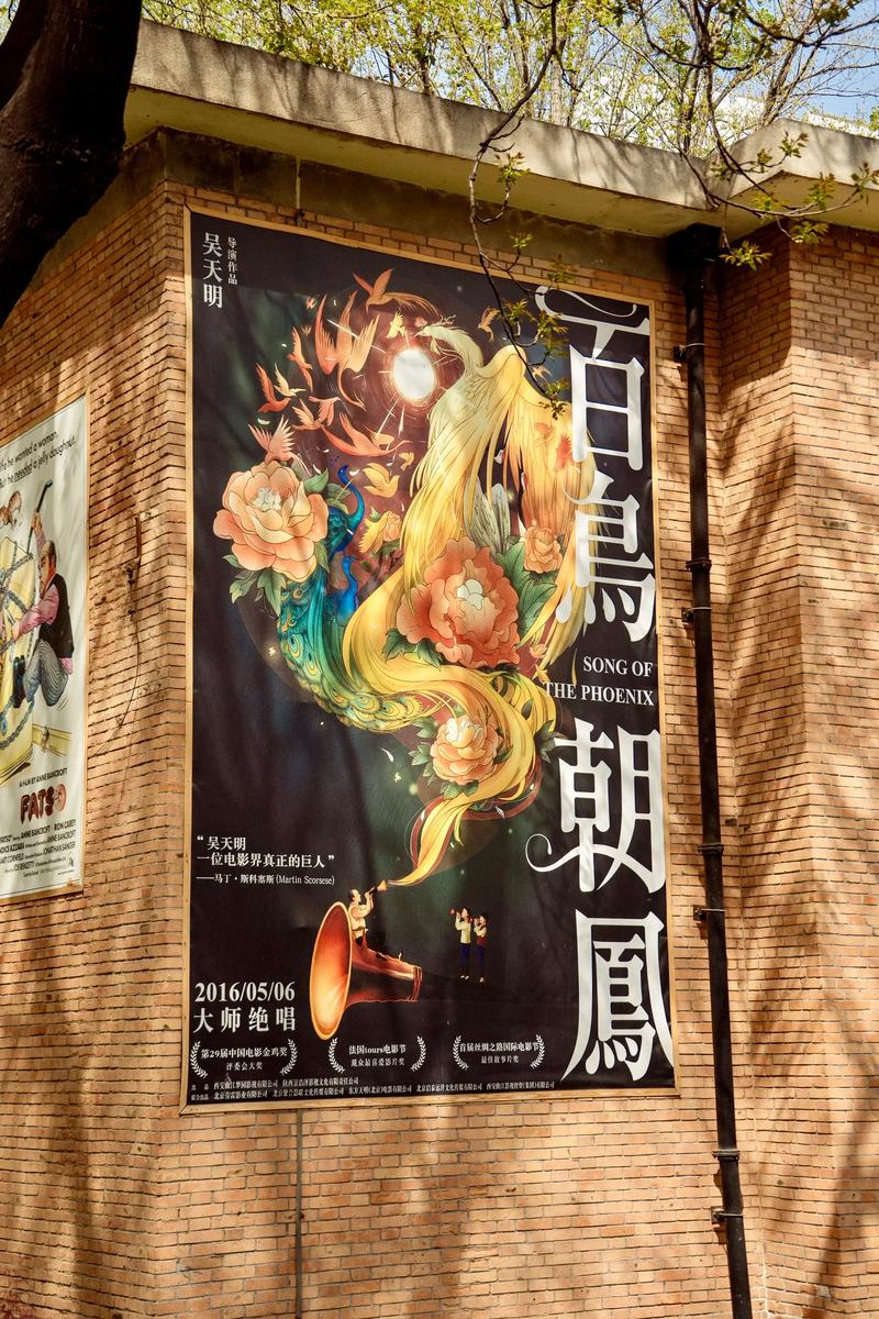 飞扬影院的相关介绍