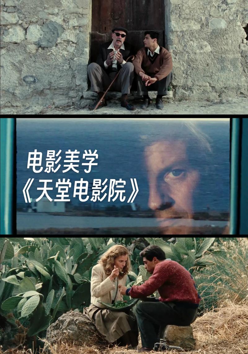 后入少妇av在线的相关介绍