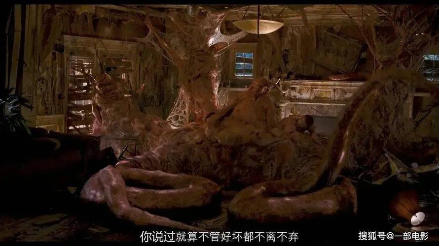 飘花电影院第1的相关介绍