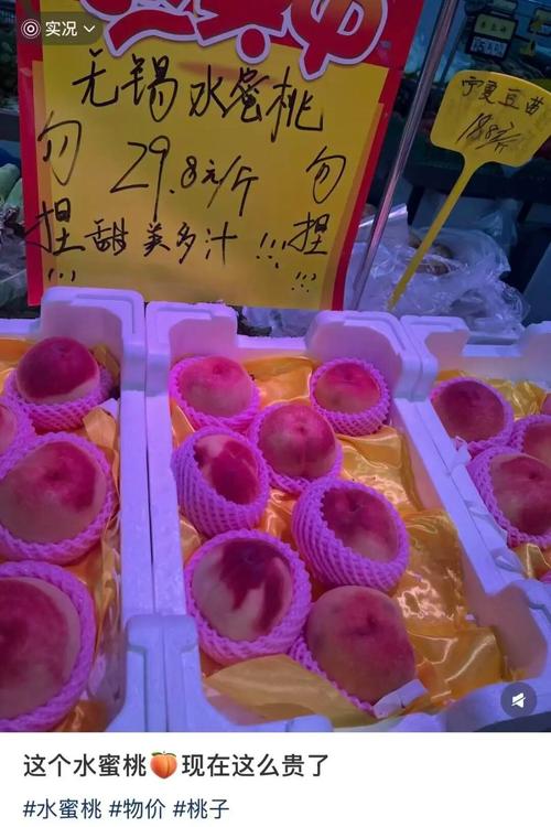 youjizz亚洲少妇的相关介绍