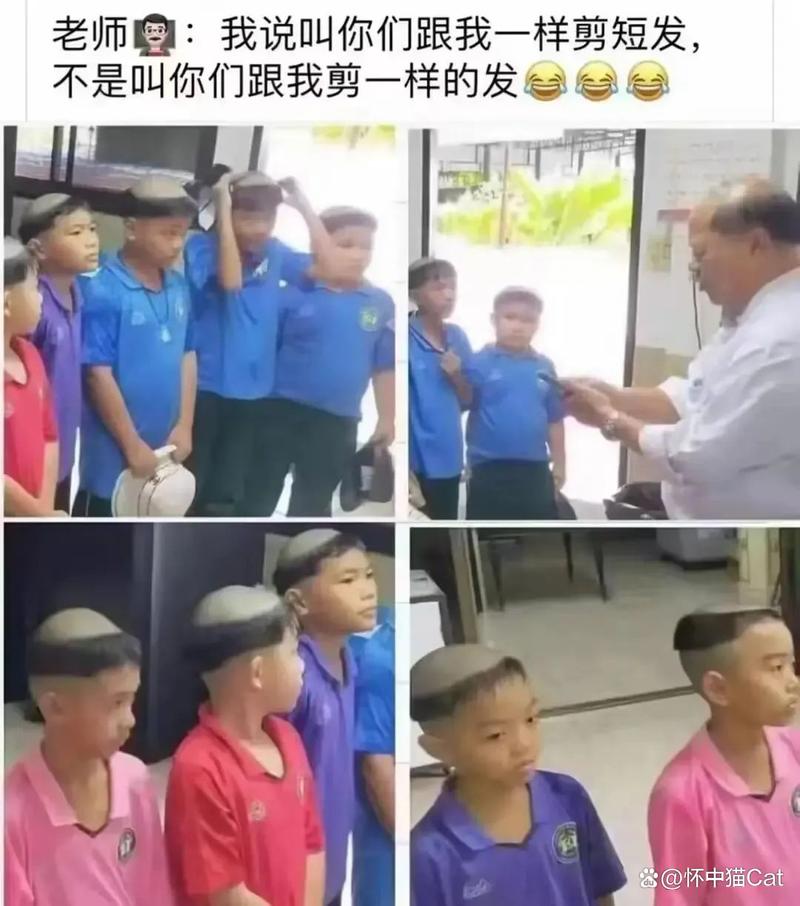 视频免费观看app下载的相关介绍