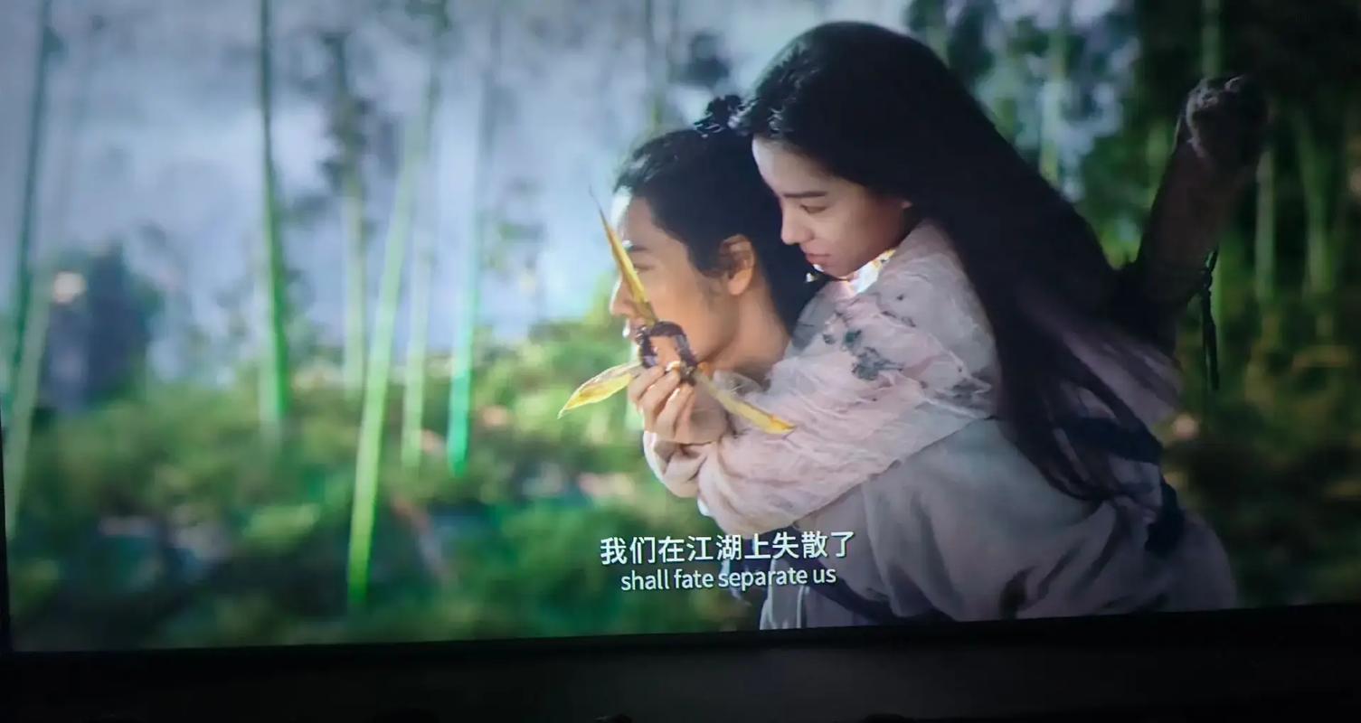 成人影院a在现看免费的相关介绍