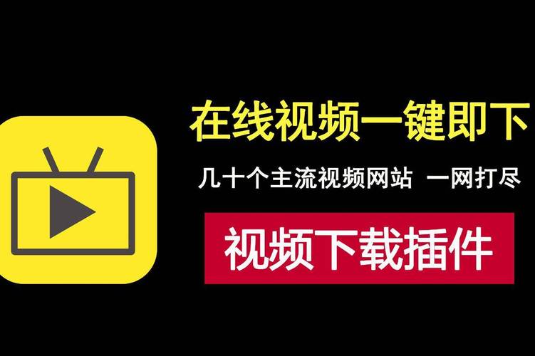 美女老师被我操的视频的相关介绍