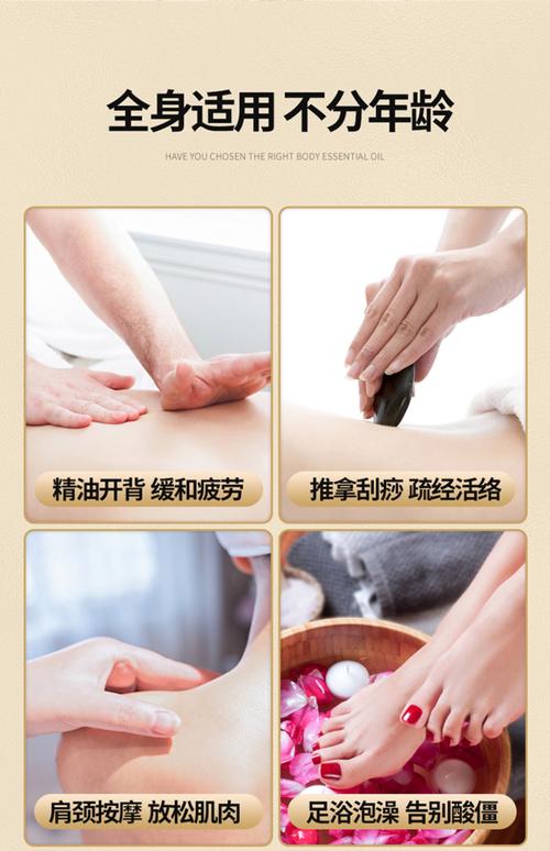 97影院九七影院理论片在线观看的相关介绍