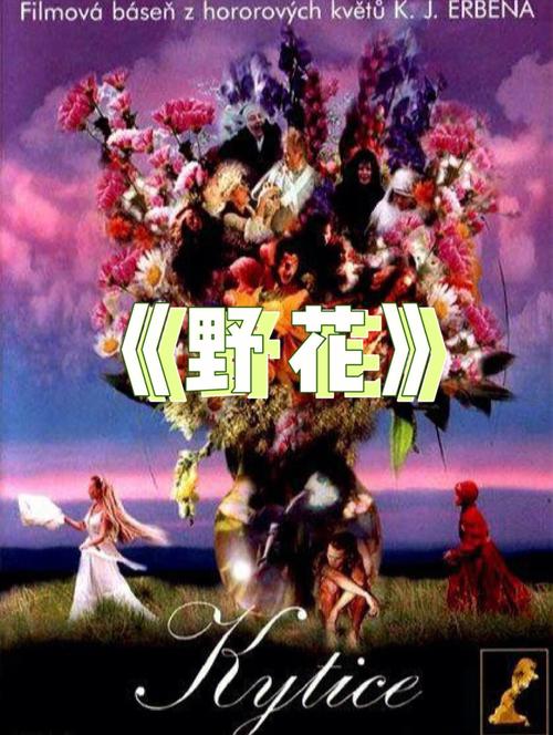 全亚洲男人的天堂的相关介绍