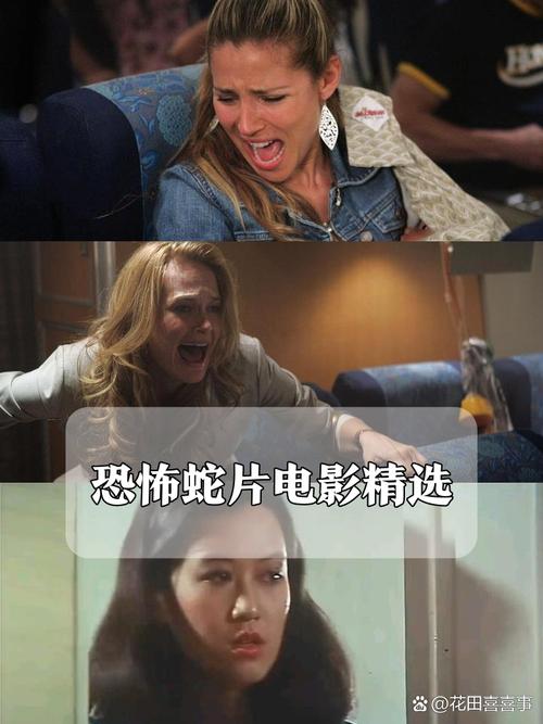 午夜爽爽爽男女免费观看影院的相关介绍