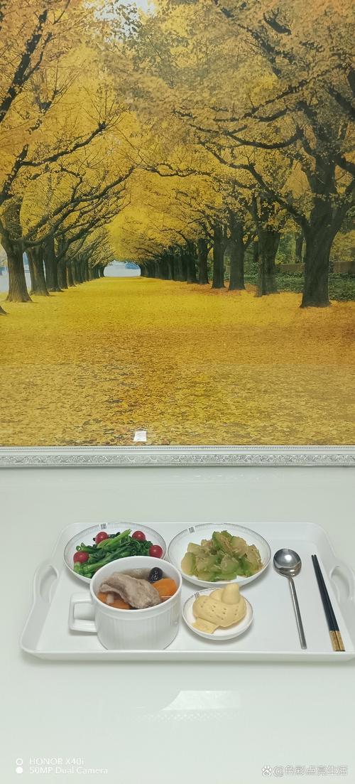 青苹果影院y04080的相关介绍