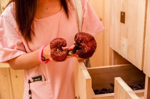 澳门 少妇 av的相关介绍