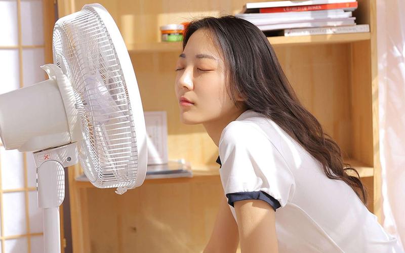 日韩av影院的相关介绍