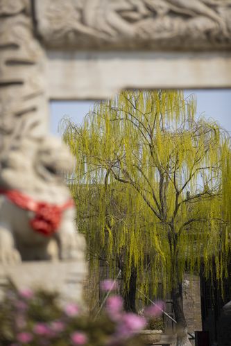 亚洲丝袜av在线的相关介绍