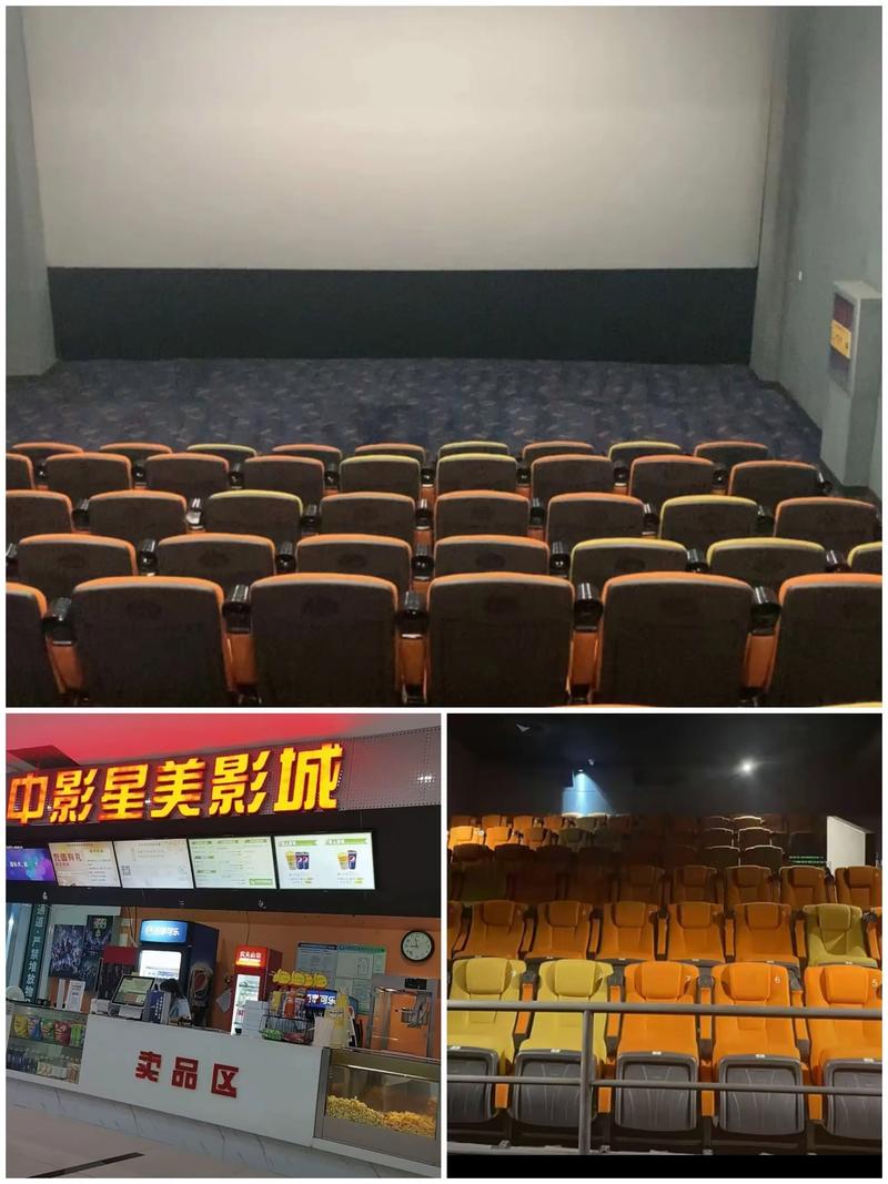夜猫电影院的相关介绍
