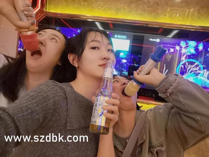 东北少妇av的相关介绍