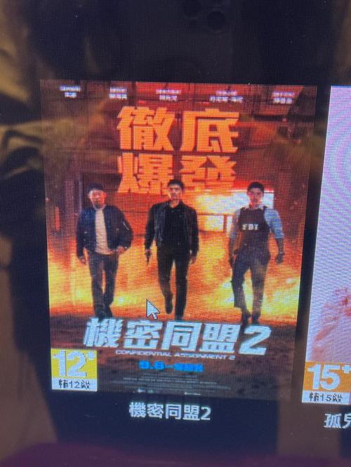 飘雪花影院的相关介绍