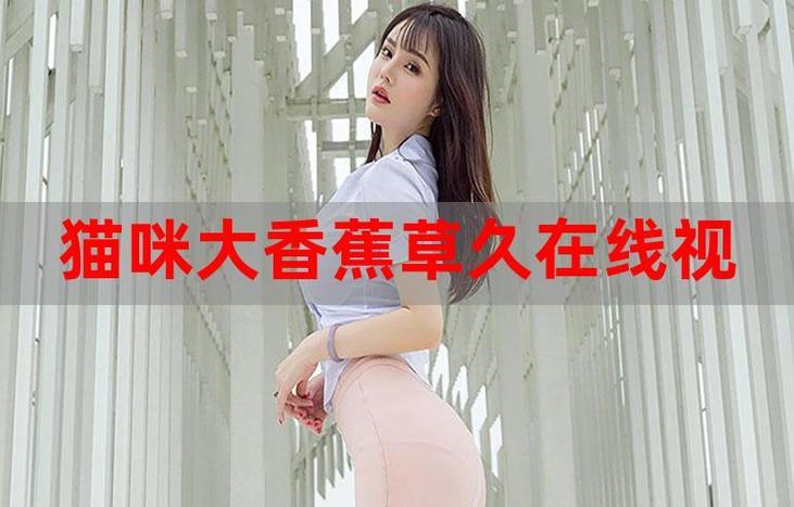 黑丝系列av的相关介绍