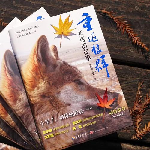 大学生啪啪啪啪啪啪啪的相关介绍
