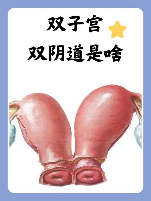华人影院的相关介绍