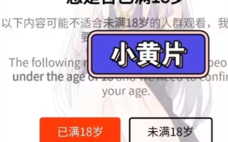 av少妇精品的相关介绍