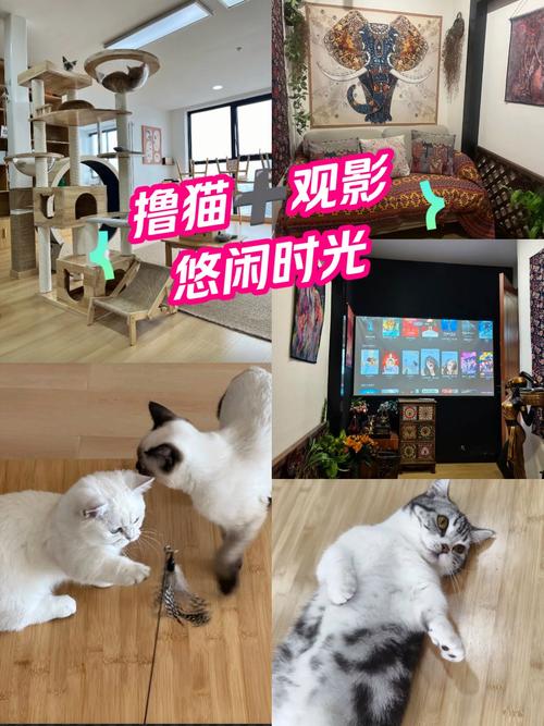 动漫操女逼的相关介绍