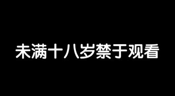 琪琪影院的相关介绍