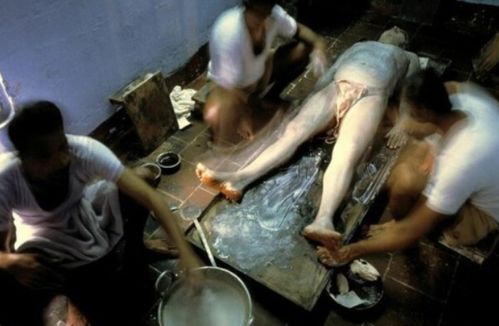 少妇人妻aa免费看的相关介绍