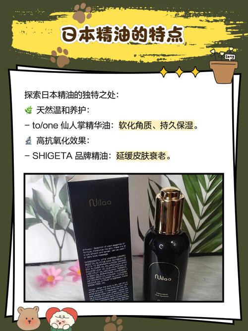 动漫的干逼片的相关介绍