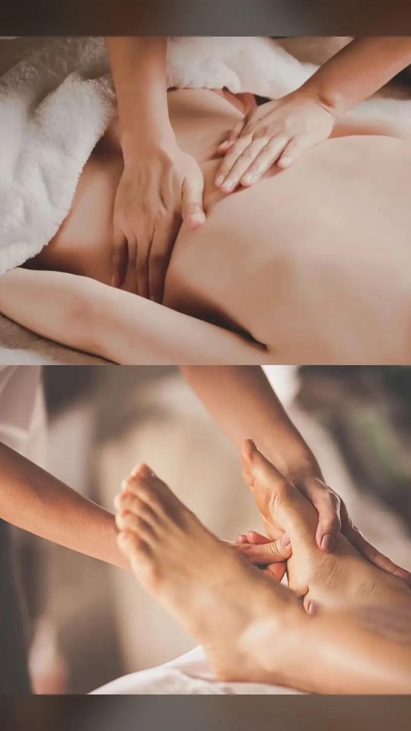 美女老师被我上的相关介绍