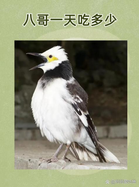 男人影院久久爱大的相关介绍