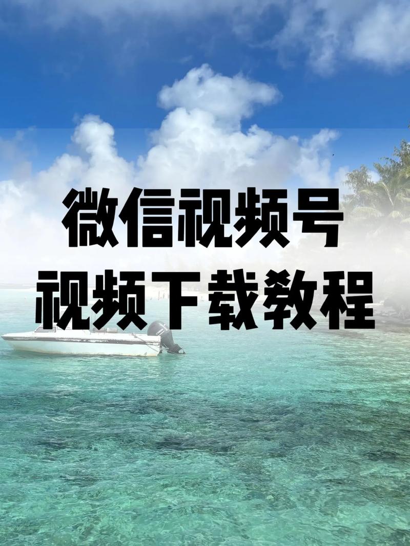 990aaacom毛片基地的相关介绍