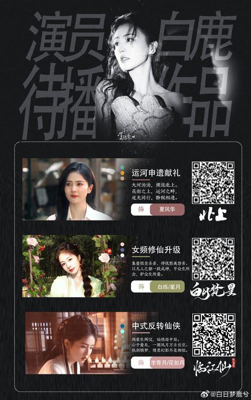 寡妇影院的相关介绍
