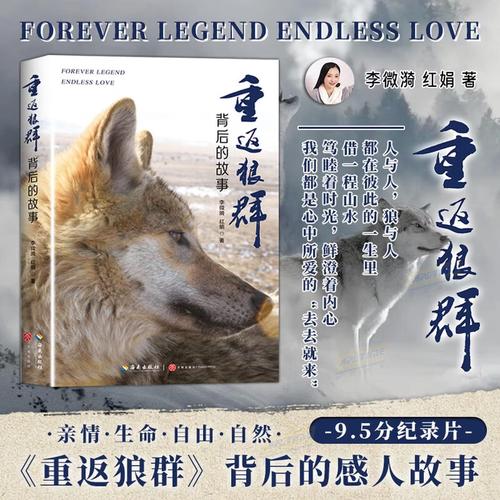 9277手机在线影院的相关介绍