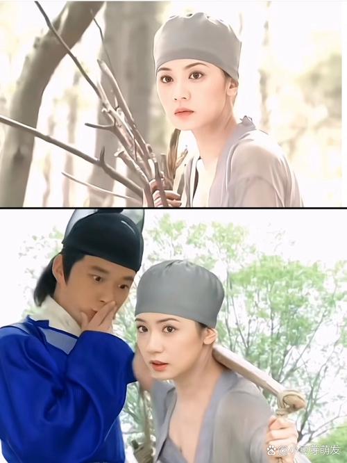 东北老妇女毛片的相关介绍