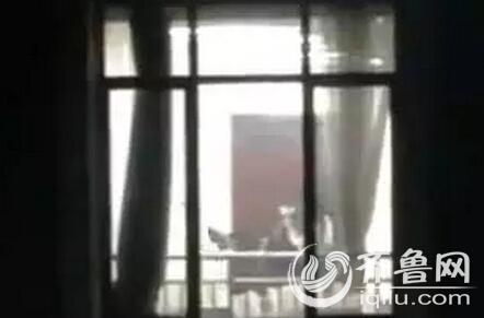 男女又爽又黄激情免费视频大的相关介绍