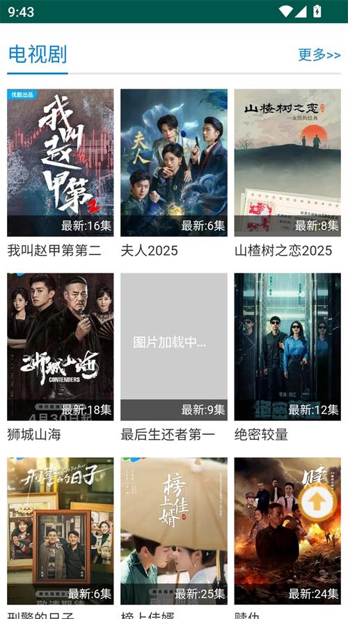 大码人妻的相关介绍