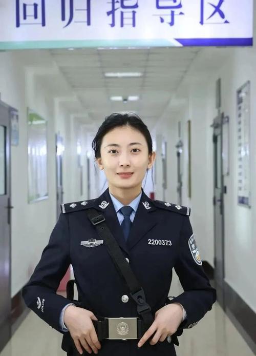 午夜电影院理论的相关介绍