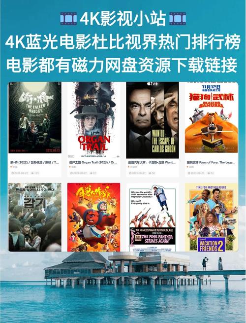 黄色录像女人的逼毛的相关介绍