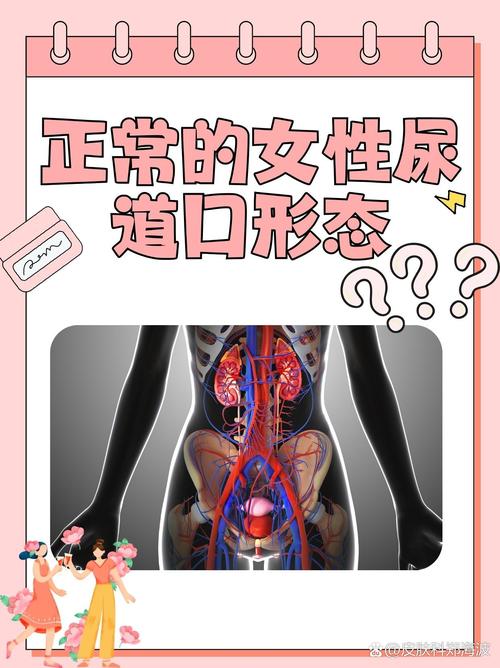国产精品j色的相关介绍