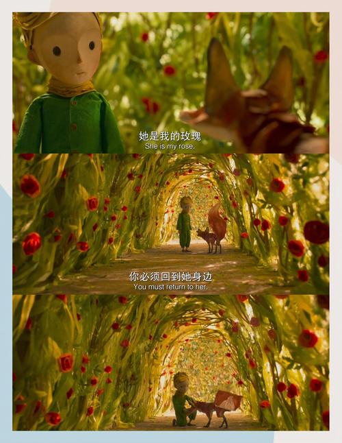 人妻少妇在线看的相关介绍